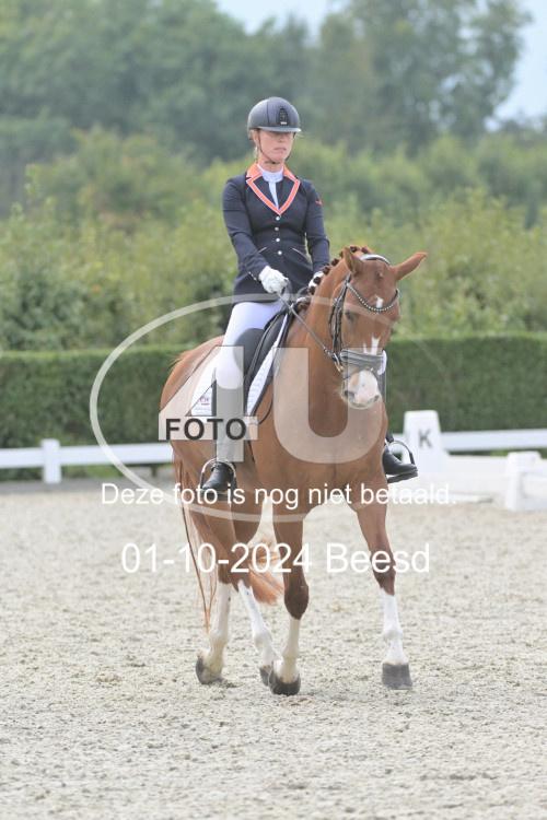 241001 2815