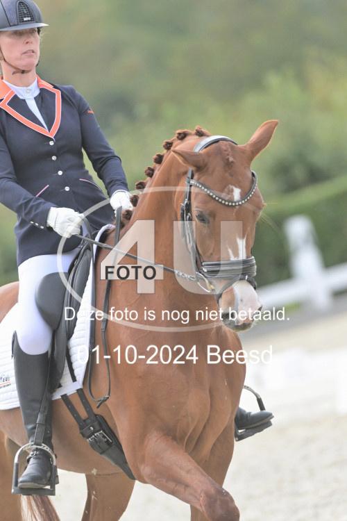 241001 2818