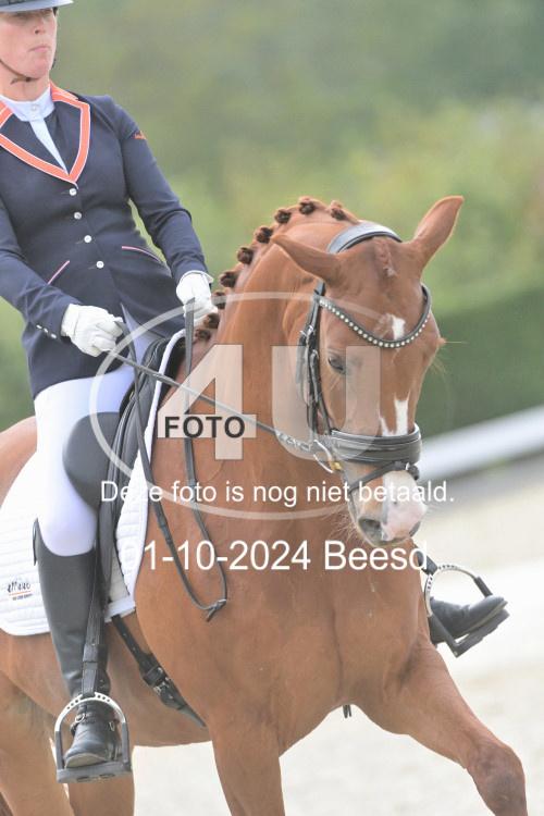 241001 2819