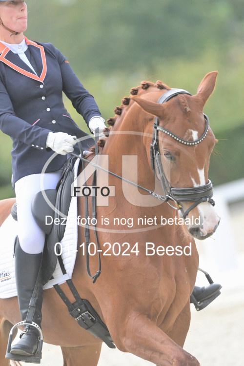 241001 2820