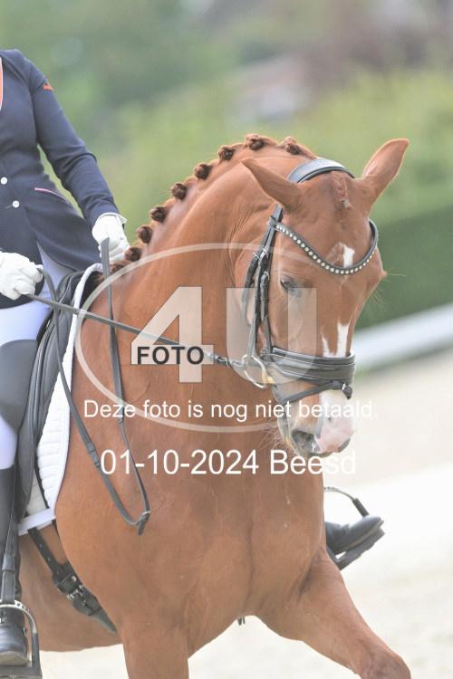 241001 2821