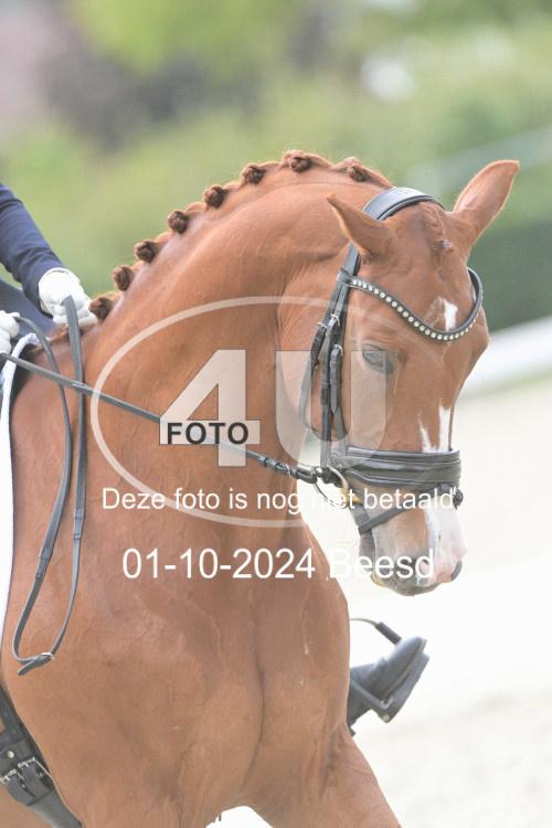 241001 2822