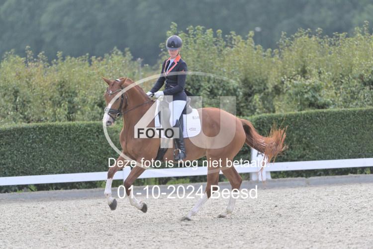 241001 2848