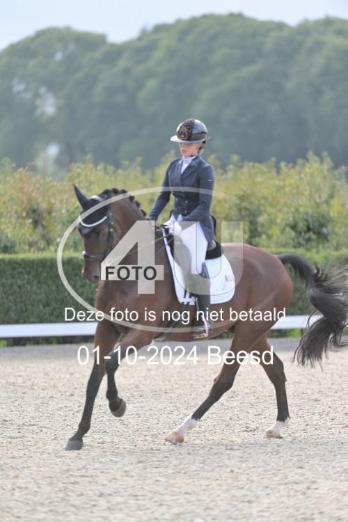 241001 2919