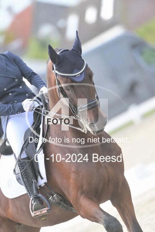 241001 2936