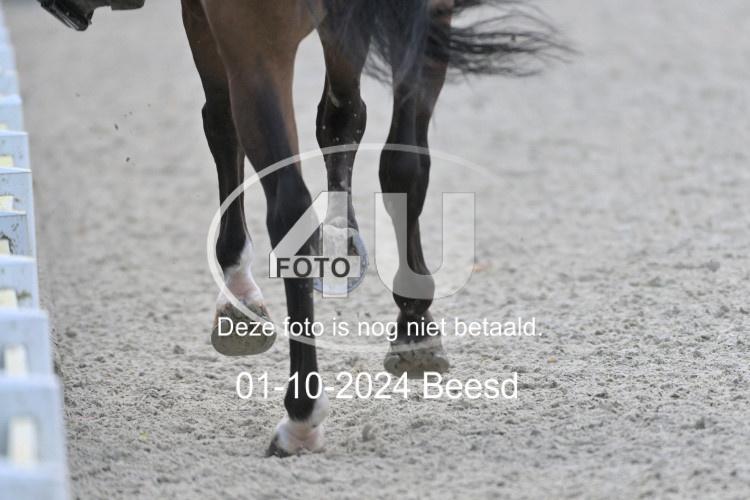 241001 3001