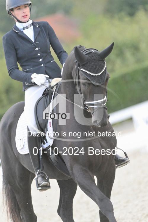 241001 3039