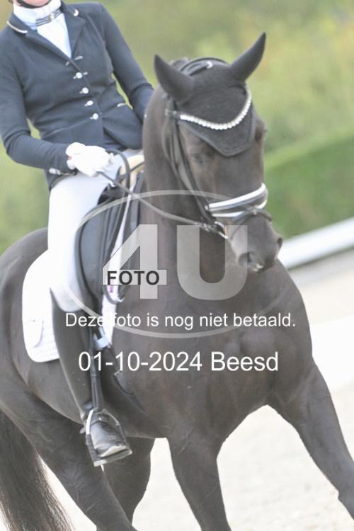 241001 3042