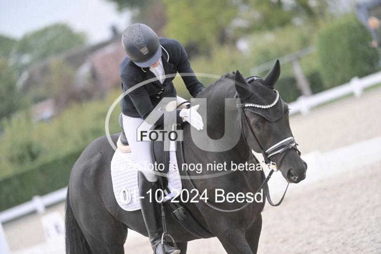 241001 3113