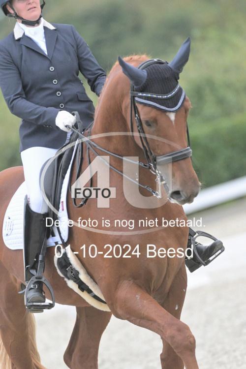 241001 3134