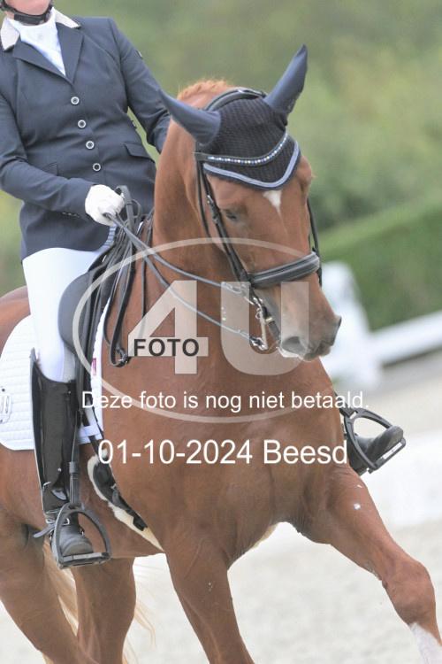 241001 3135