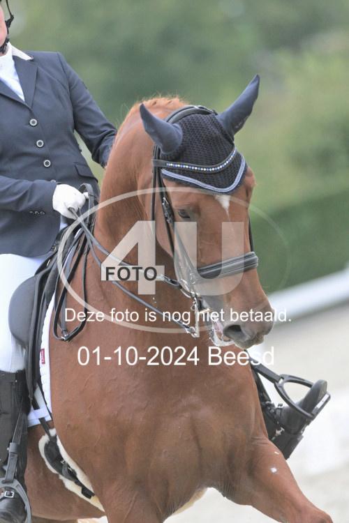 241001 3136