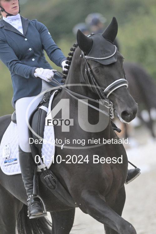 241001 3219