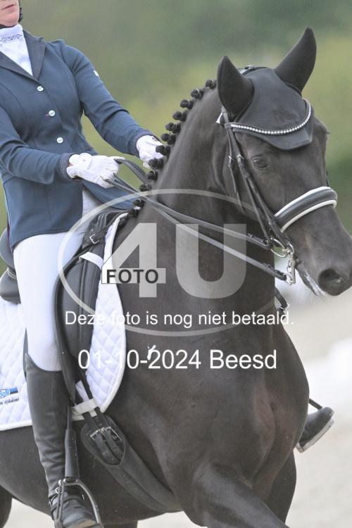 241001 3221