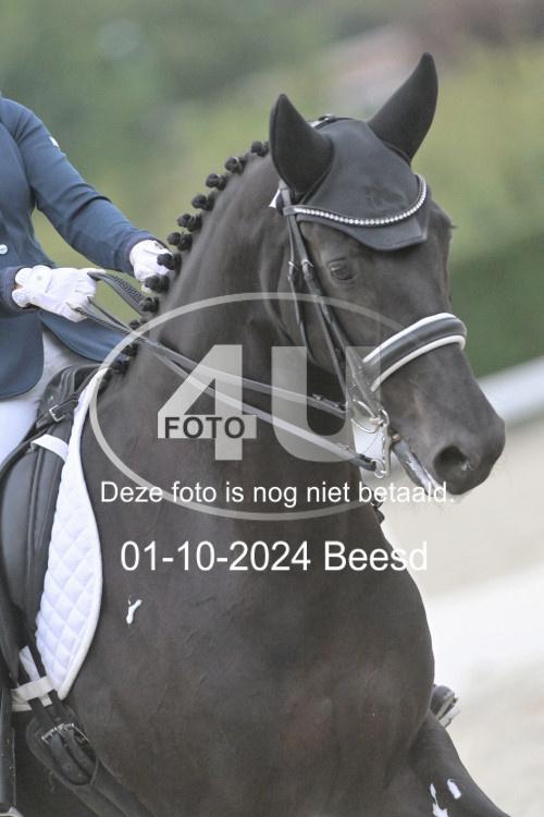 241001 3222