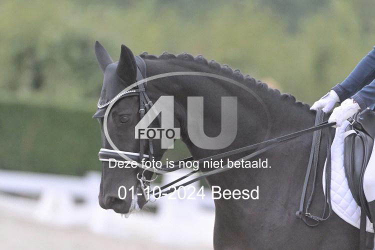 241001 3246