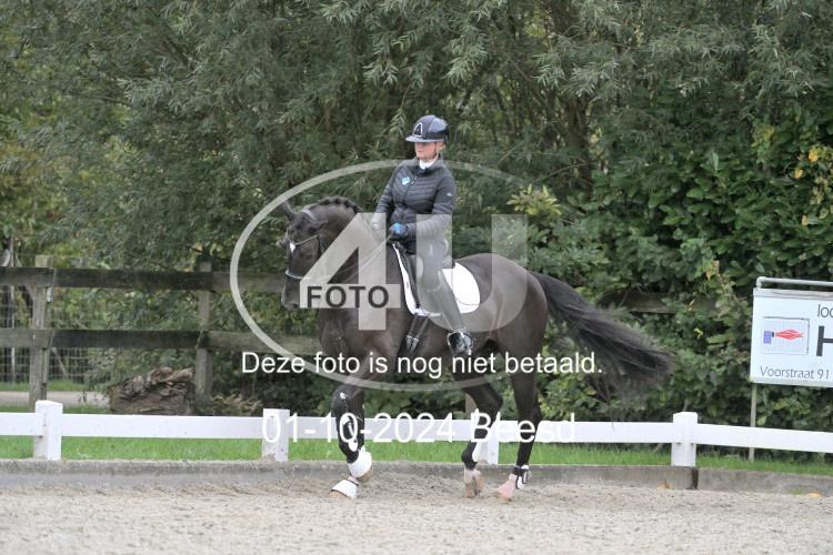 241001 3305