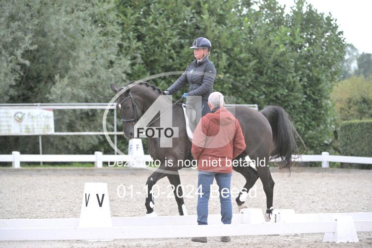 241001 3310