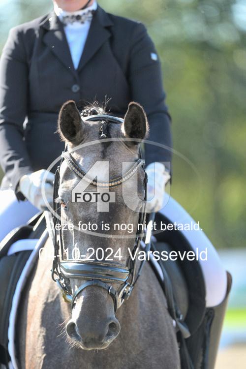 241004 0060