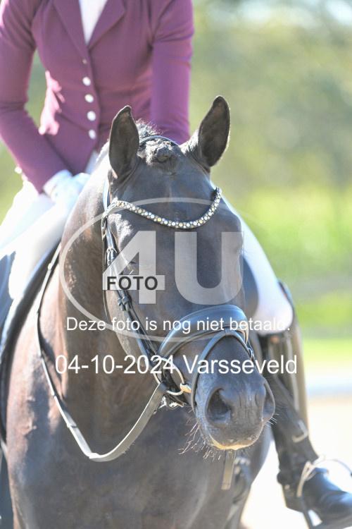 241004 0146