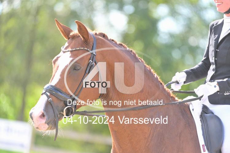 241004 0789