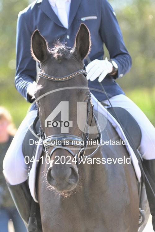241004 0820