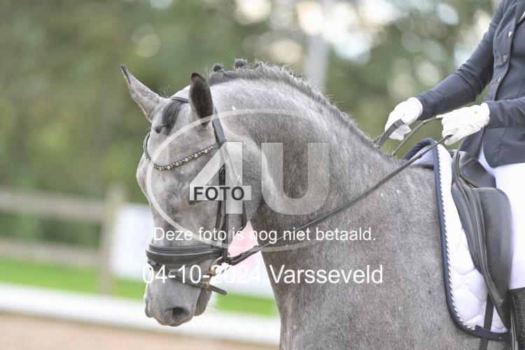 241004 1097