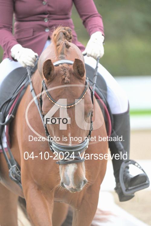 241004 1110