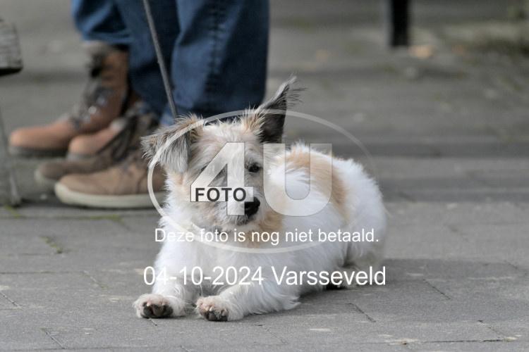241004 1308