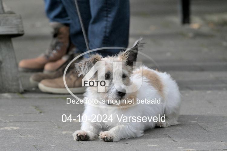 241004 1309