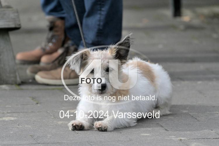 241004 1311