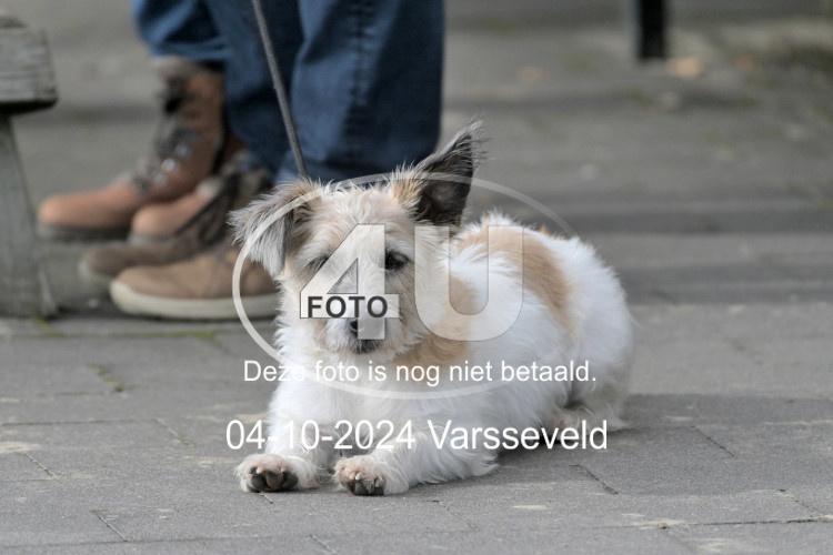 241004 1312