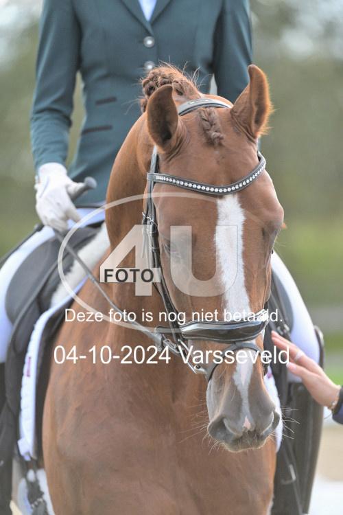 241004 1365