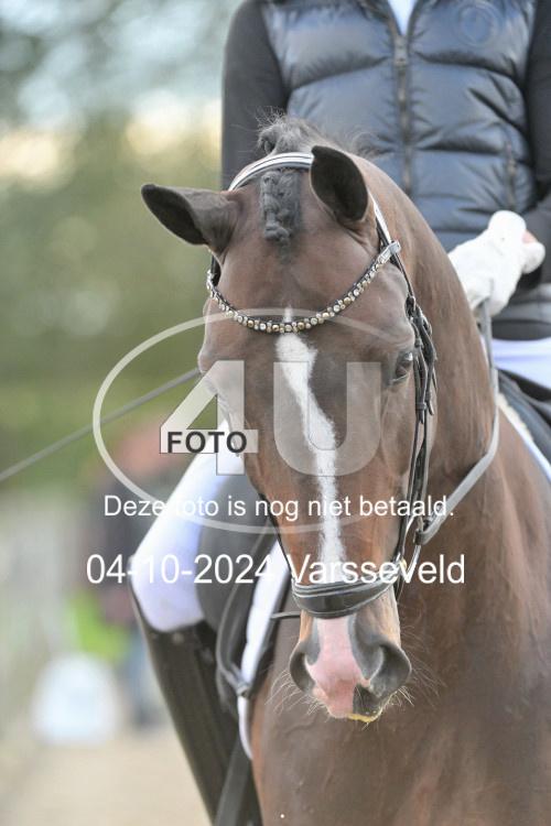 241004 1533