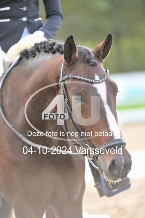 241004 1645