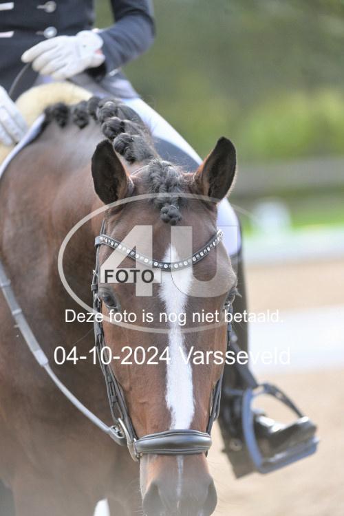 241004 1646