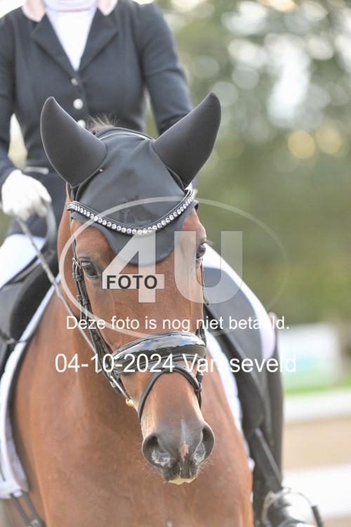 241004 1946