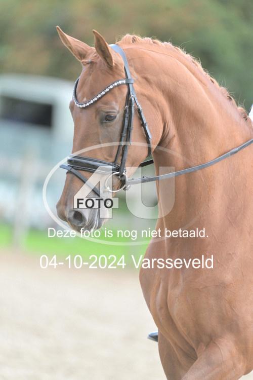 241004 2066