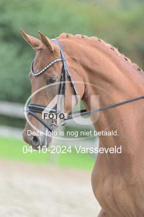 241004 2067