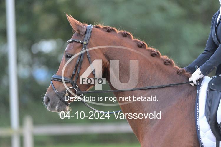 241004 2525