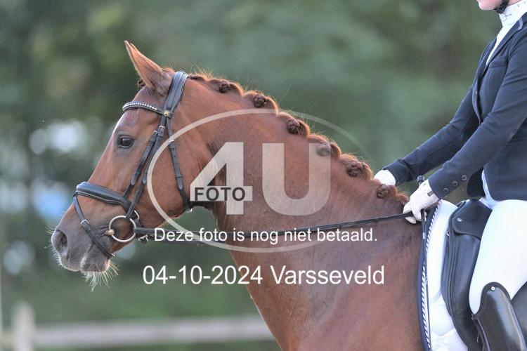 241004 2526