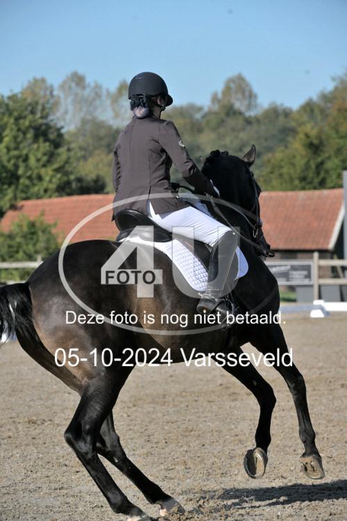 241005 0316