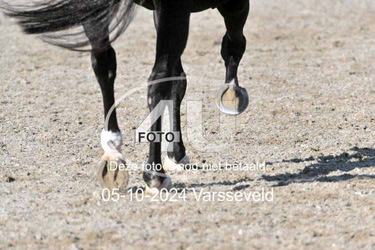 241005 0371