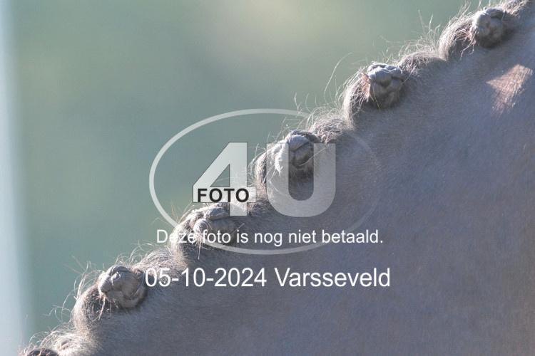 241005 0623