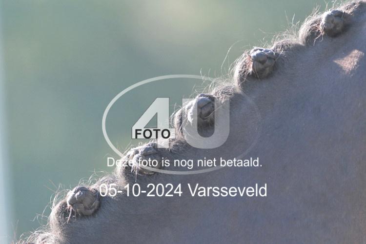 241005 0624