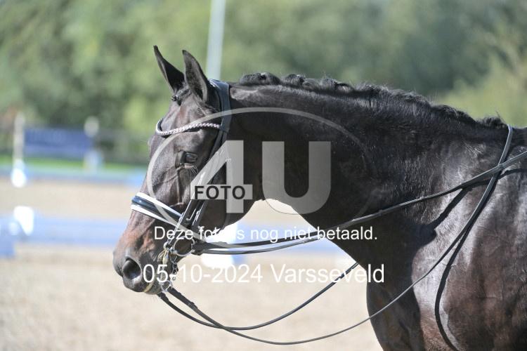 241005 0900