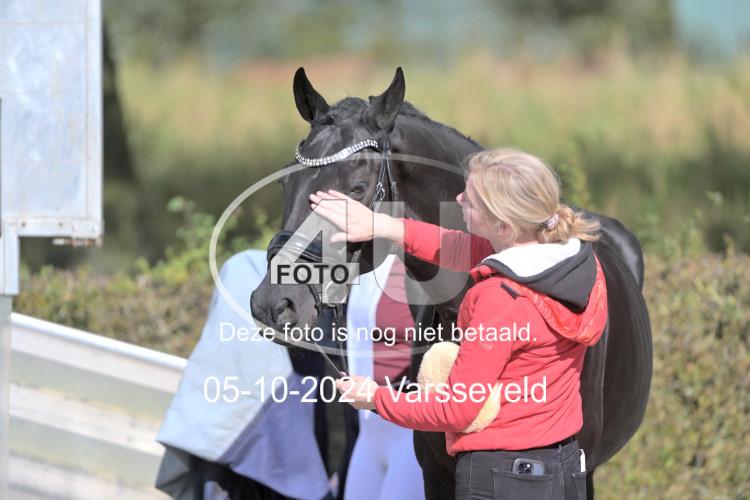 241005 2087