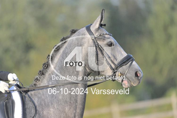 241006 0008