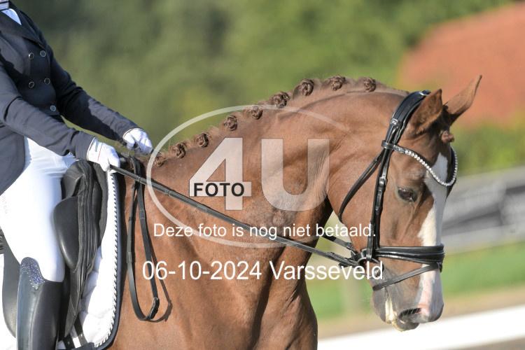 241006 0222