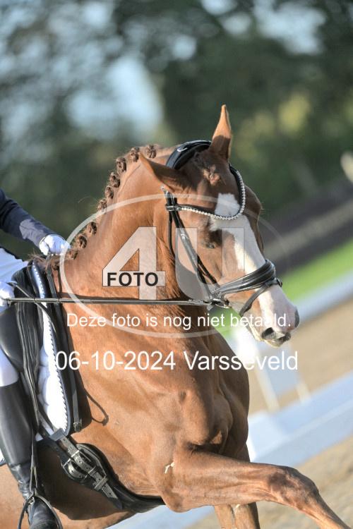 241006 0234